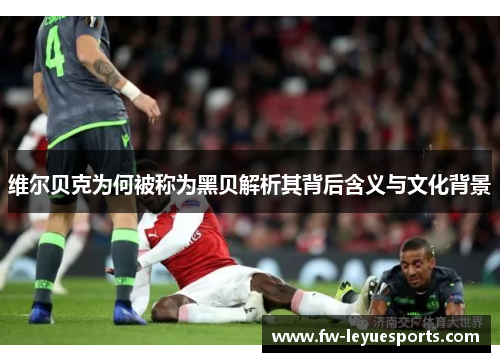 维尔贝克为何被称为黑贝解析其背后含义与文化背景 维尔贝克为何被称为黑贝解析其背后含义与文化背景